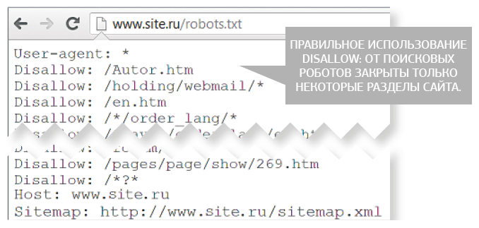 Правильное использование директивы disallow в robots.txt Правильное использование директивы disallow